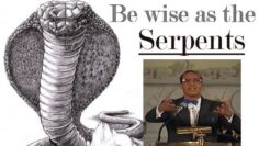 [ID: 1xY4C8BITDA] Youtube Automatic