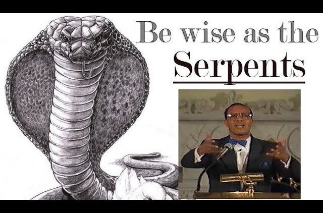 [ID: 1xY4C8BITDA] Youtube Automatic