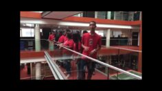 [ID: p7mQ810UW2s] Youtube Automatic