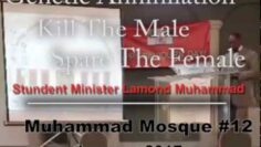 [ID: u3hCALhVBbg] Youtube Automatic