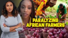 African Farmers Get Crippled By Their Own Governments In Order To Please Western Countries