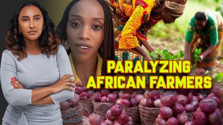 African Farmers Get Crippled By Their Own Governments In Order To Please Western Countries