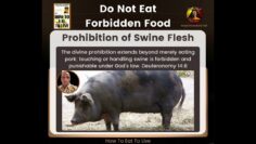 Forbidden Foods: Foods you should avoid to maintain good health