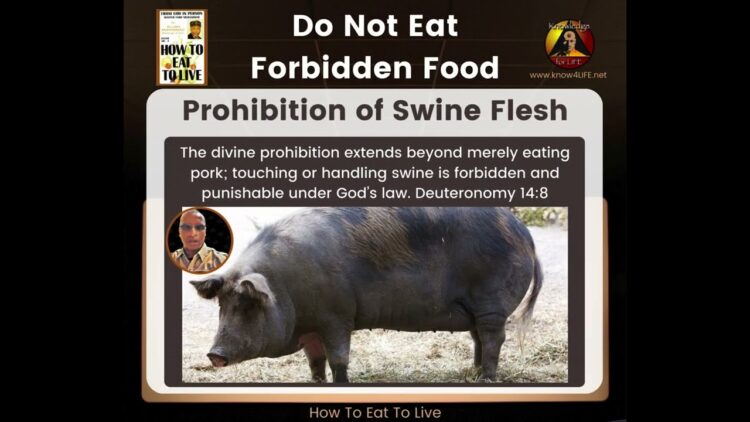 Forbidden Foods: Foods you should avoid to maintain good health