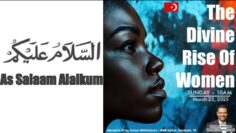 Private: [ID: akcKQWfz-LA] Youtube Automatic