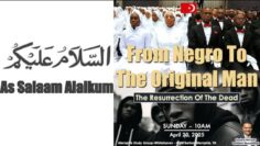 Private: [ID: KjYszP0sXjc] Youtube Automatic