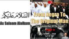 Private: [ID: s-0dVqZR-BU] Youtube Automatic