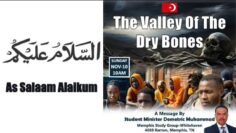 Private: [ID: vqjnyuuC8pY] Youtube Automatic